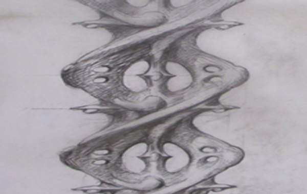 Doppia Spirale